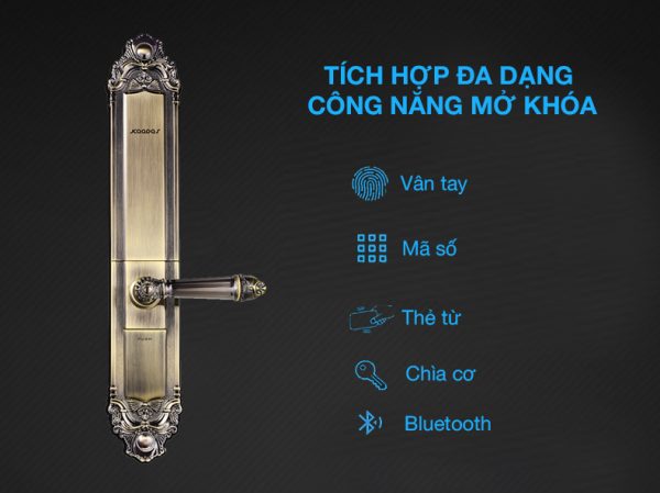 khoa-cua-van-tay-kaadas-kds-6002