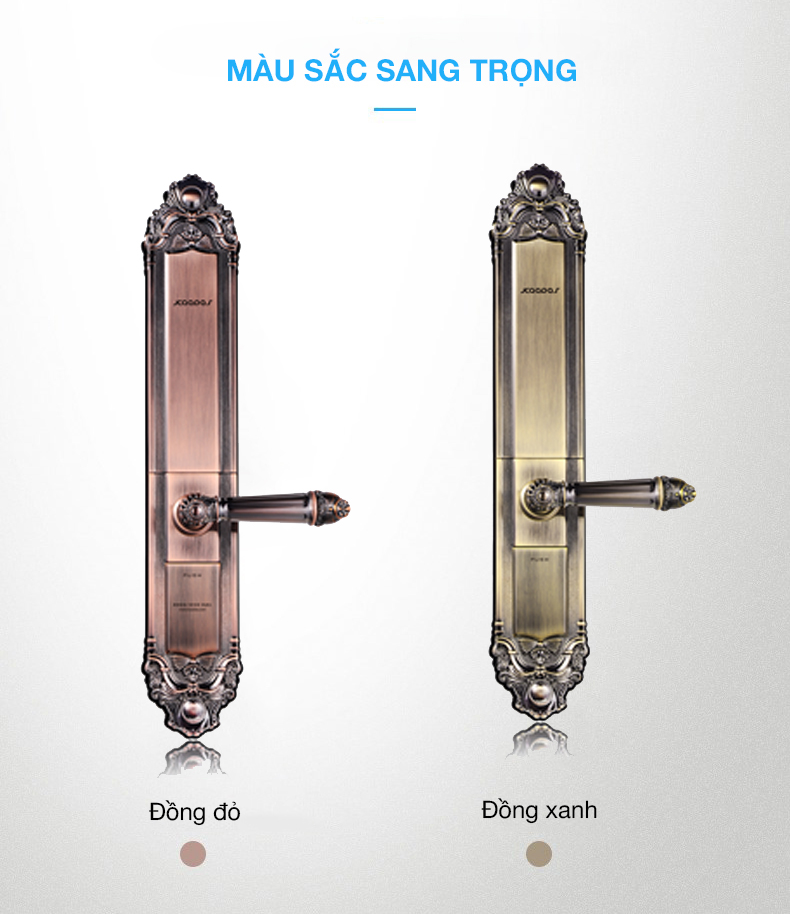 khoa-cua-van-tay-kaadas-kds-6002