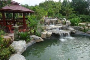 xây nhà phong cách Nhật Bản