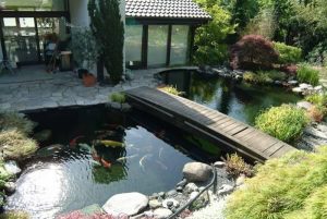 xây nhà phong cách Nhật Bản