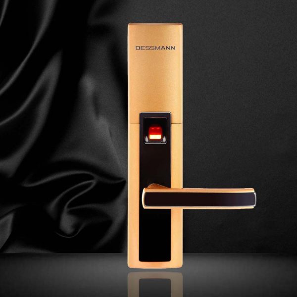 Khóa cửa vân tay Dessmann S510