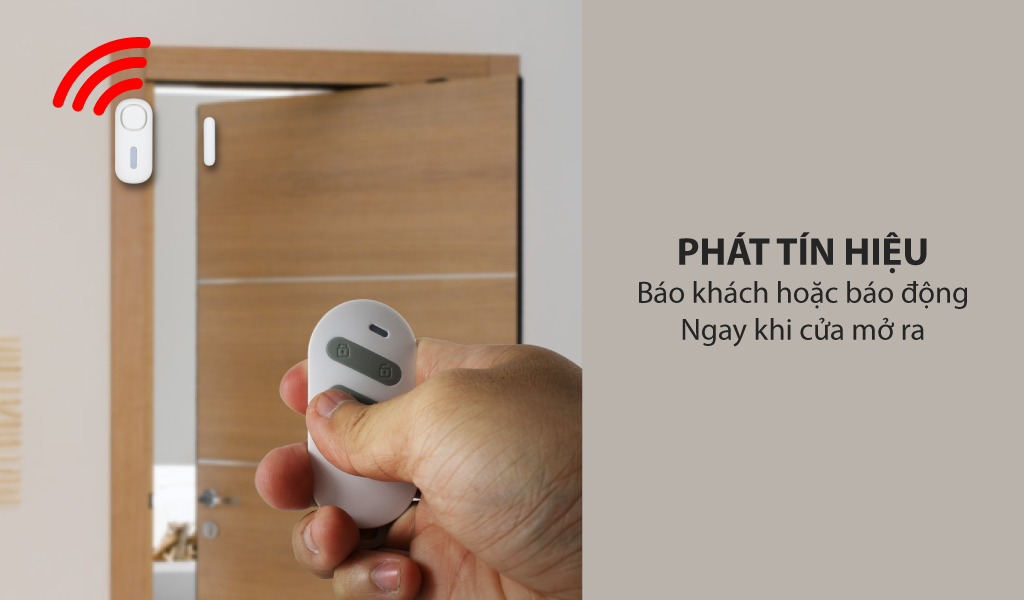 Loại cửa nào chống trộm tốt nhất cho căn nhà của bạn?